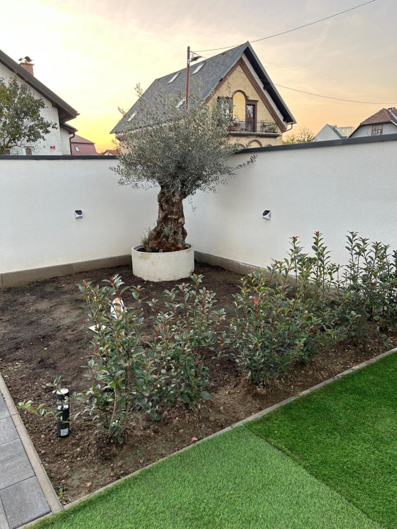 Casa Box Premium Free Garage Apartment *