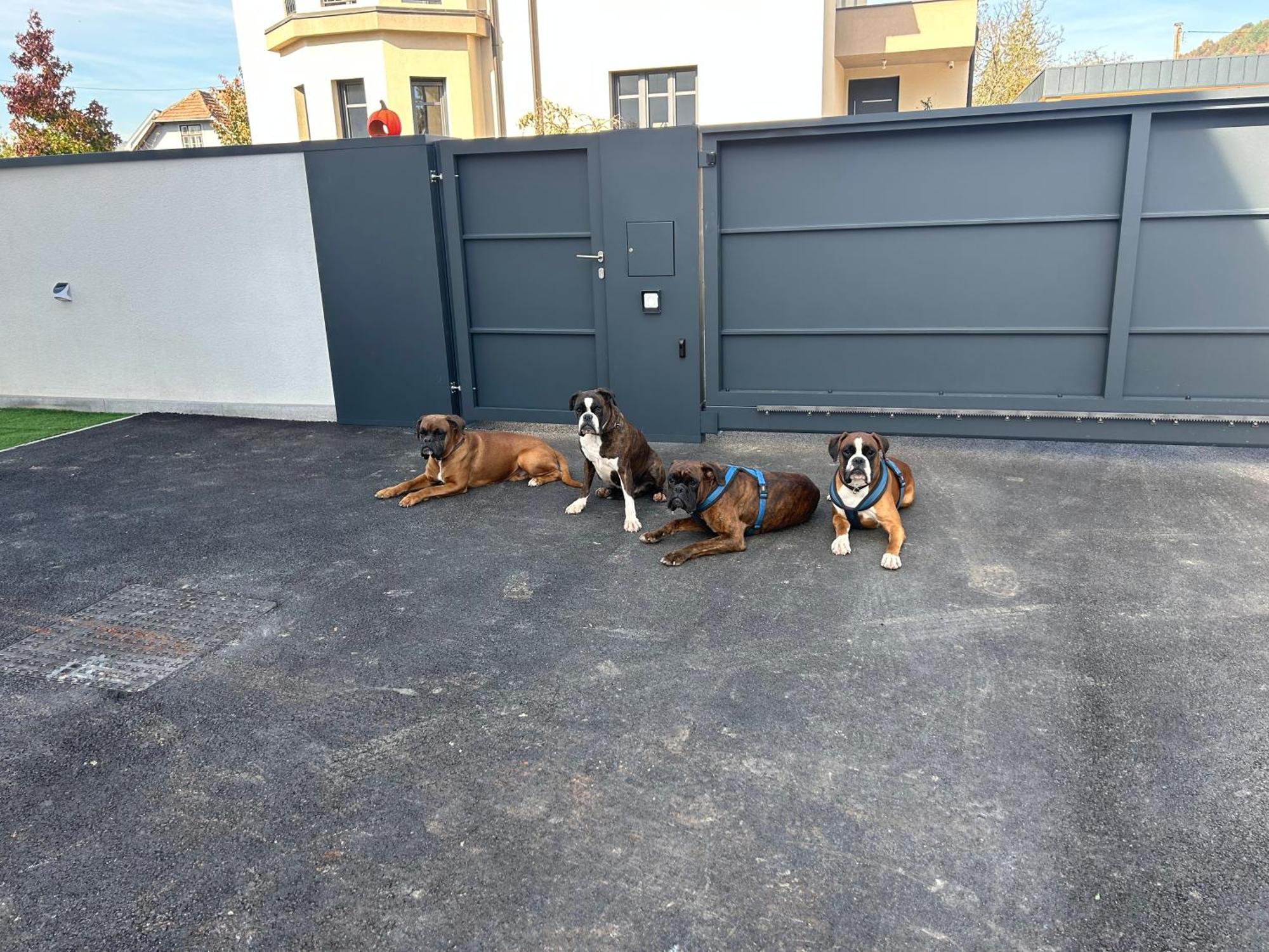 Casa Box Premium Free Garage